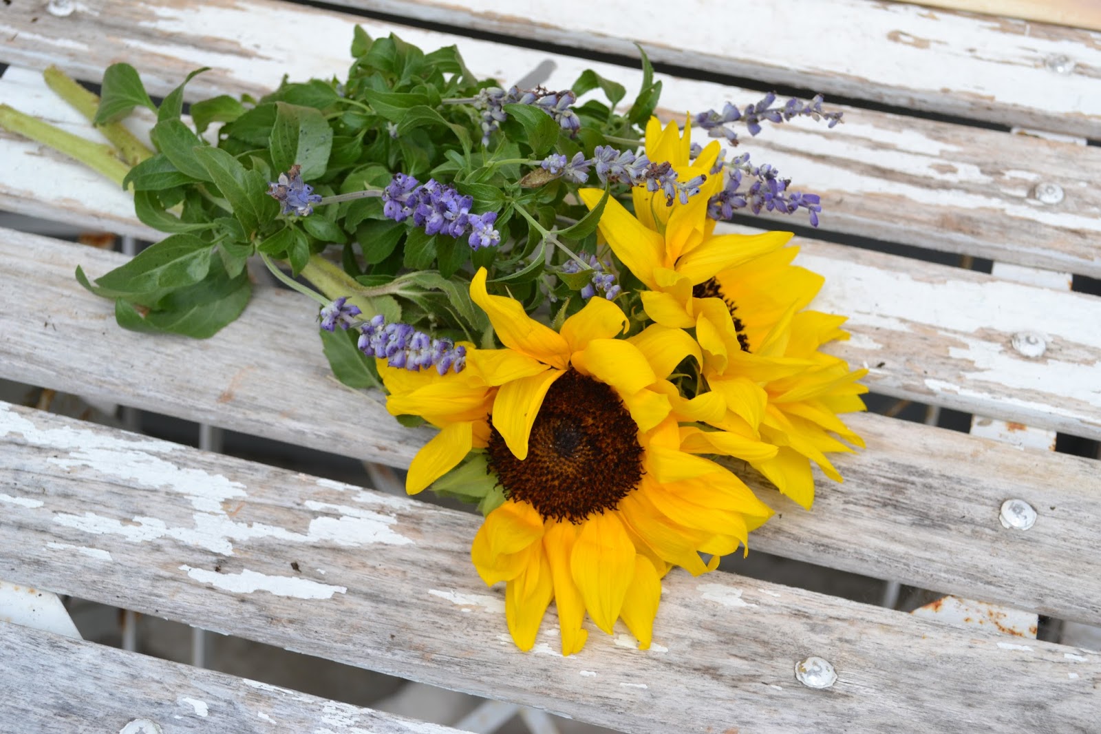 My Painted Garden Lavender and Sunflower Inspirations