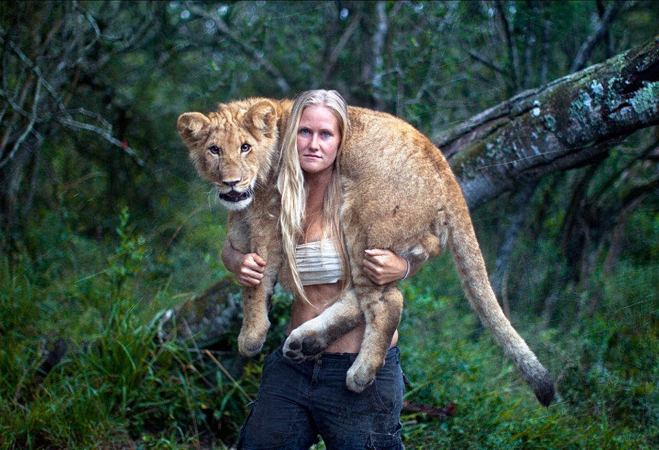 Awesome Animals blog The special bond between human and 2 Lion cubs