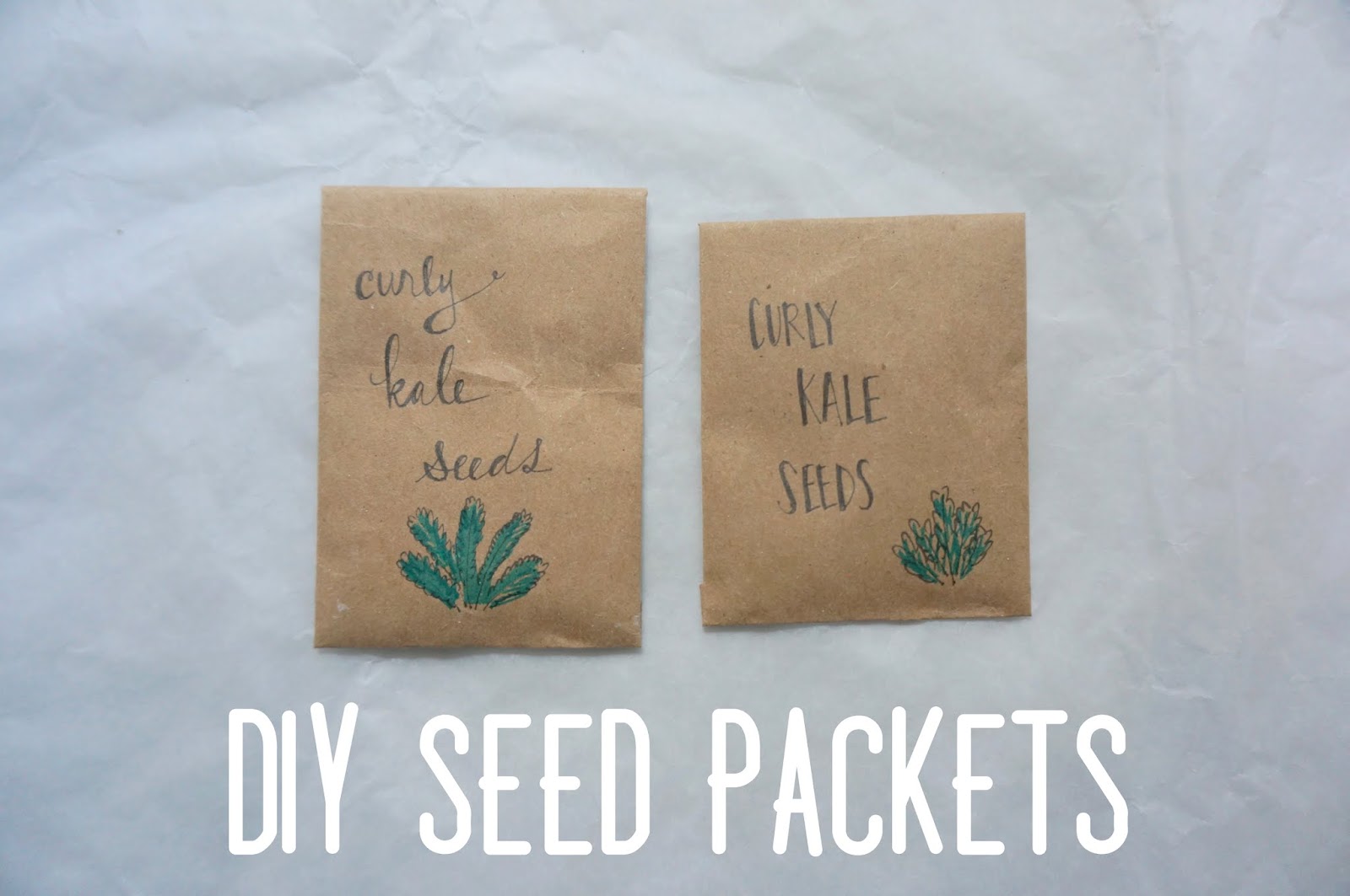 DIY Seed Packets