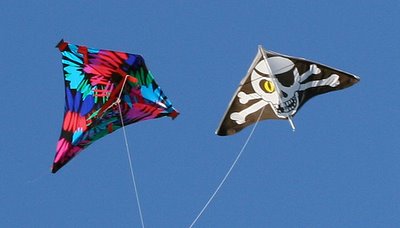 kite+in+jaffna.jpg