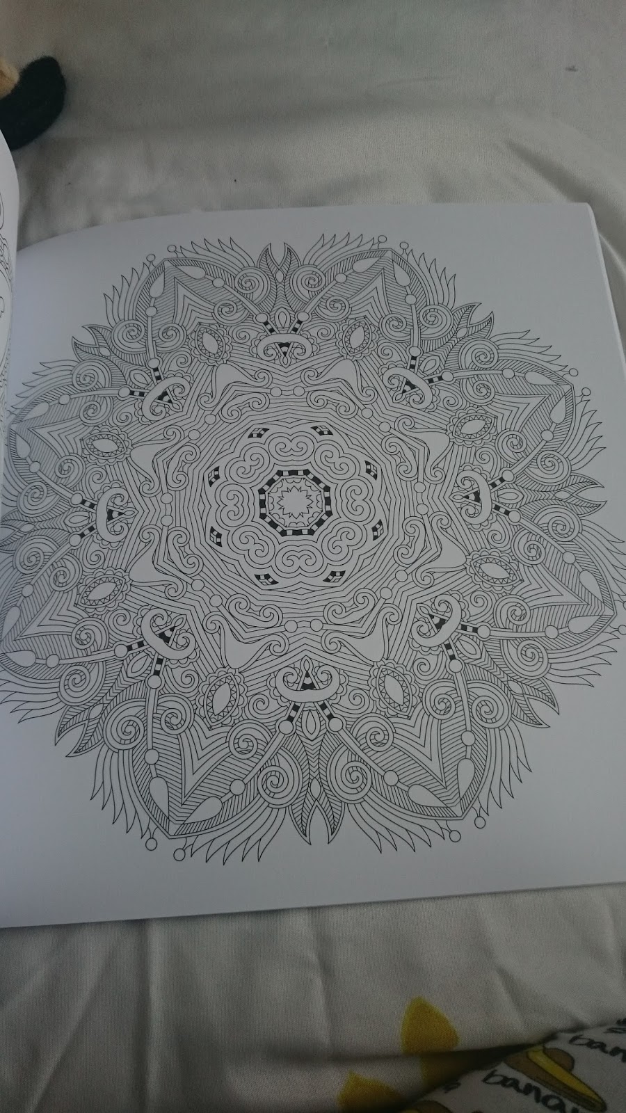 The Second One And Only Is Available To Buy From Book Depository Easons Amazon High Quality Paper Means A Variety Of Mediums Pen Paint
