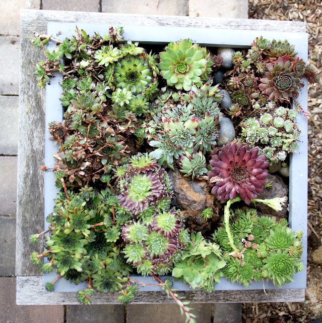 Die Schaubude ---Guter Stoff in Form gebracht---: urbane Terrassendeko