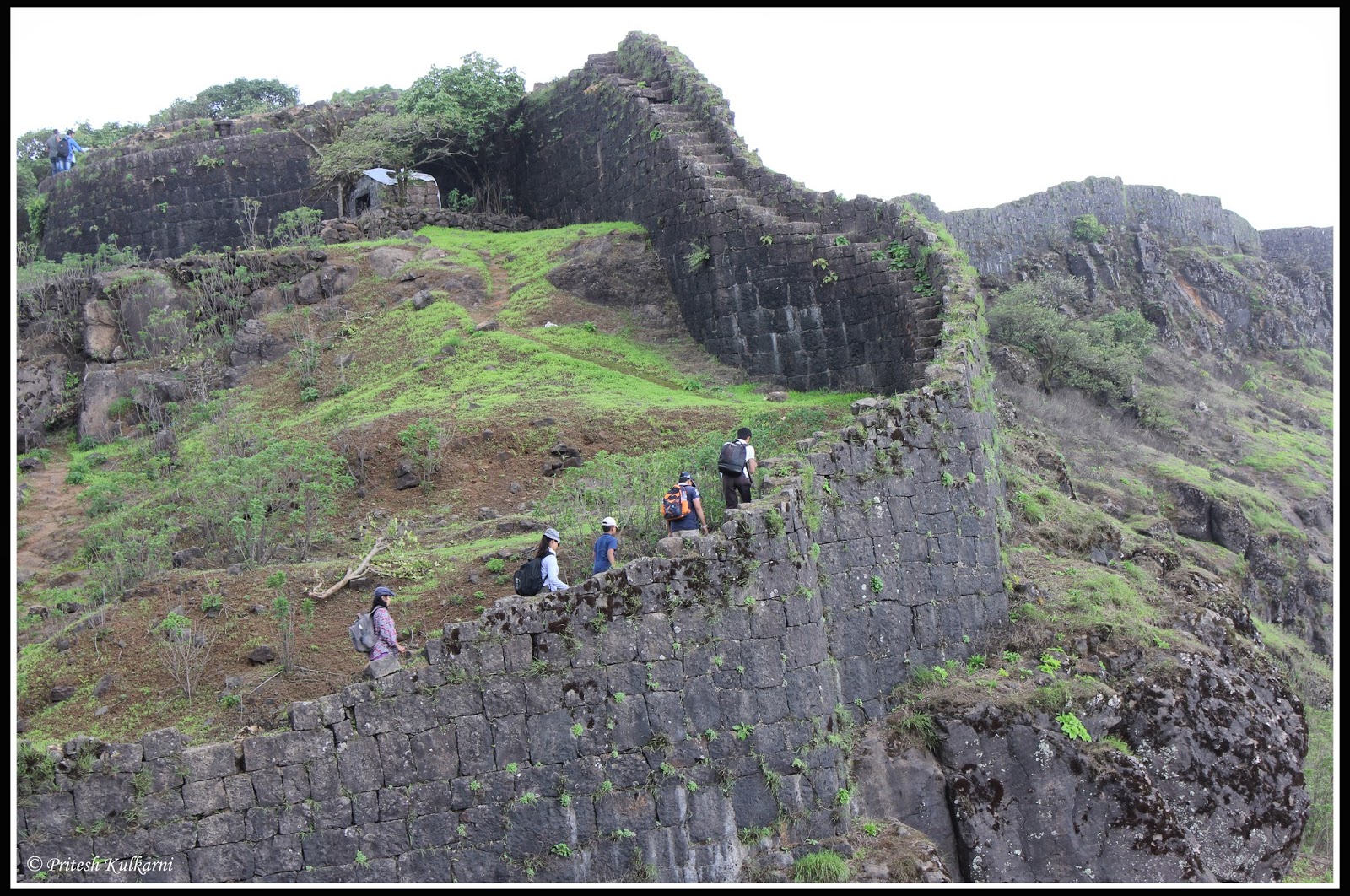 Fort's Wall Fort's Wall