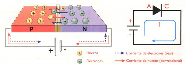 Polarización directa - Direct polarization