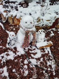 Snowmen in Cruces?