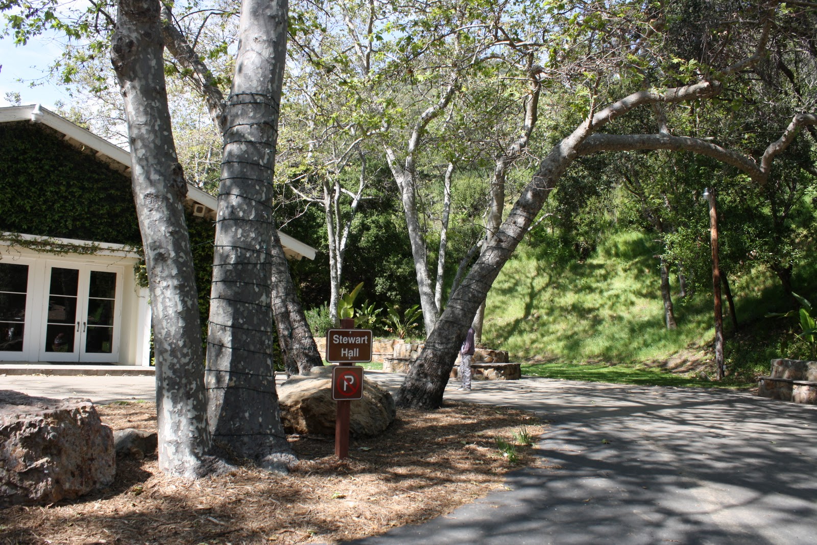 Temescal Gateway Park Buttons, Lace, & Love