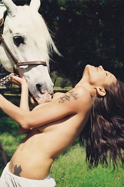 Angelina Jolie e o Cavalo (Ou : Dou-lhe Uma, Dou-lhe Duas, Dou-lhe Três)