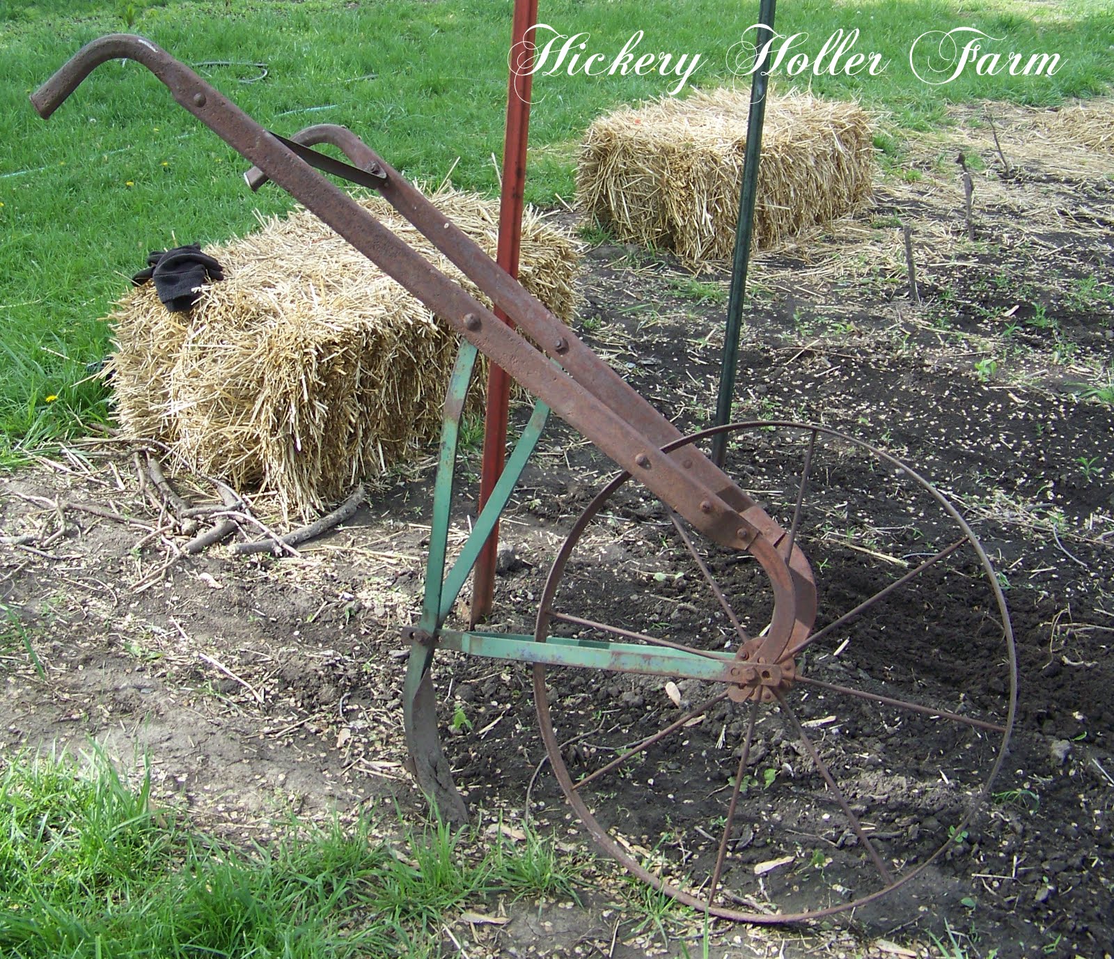 Hickery Holler Farm No Till Gardening And Heavy Mulch