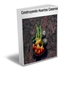 Construyendo Huertos Caseros