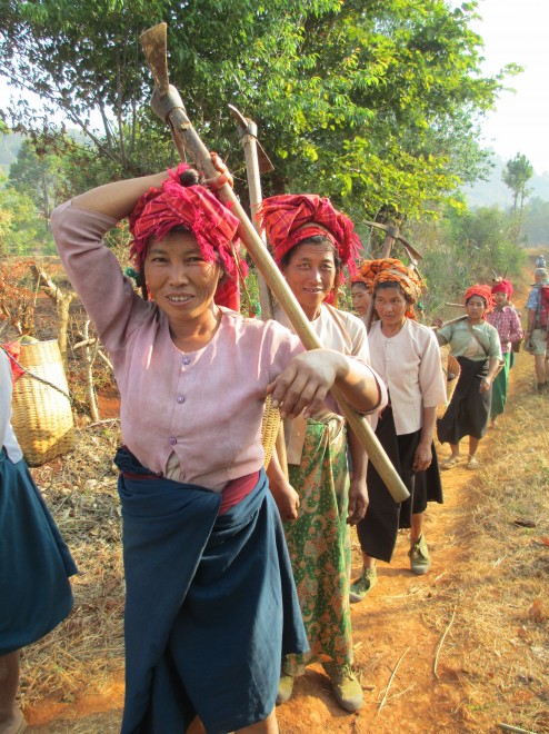 Suku Pale, Burma ~ Proto Malayan