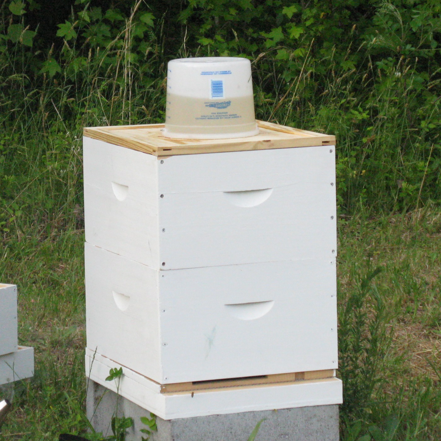 Beekeeping Week 1 Checking and Feeding Farmstead Adventures