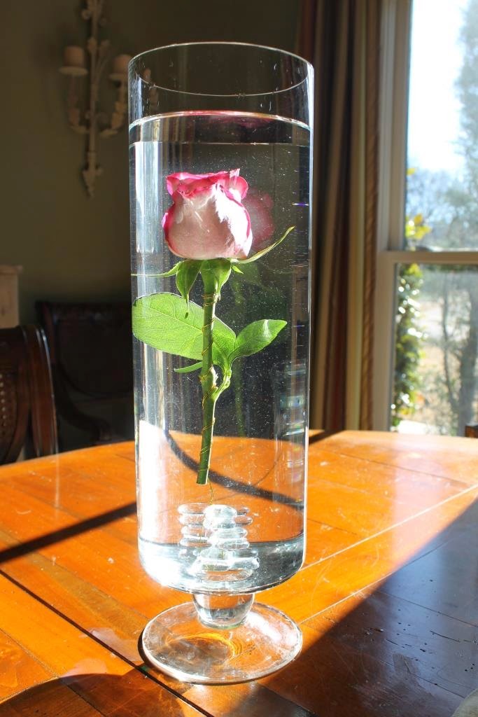 How To Submerge Flowers Miss Kopy Kat