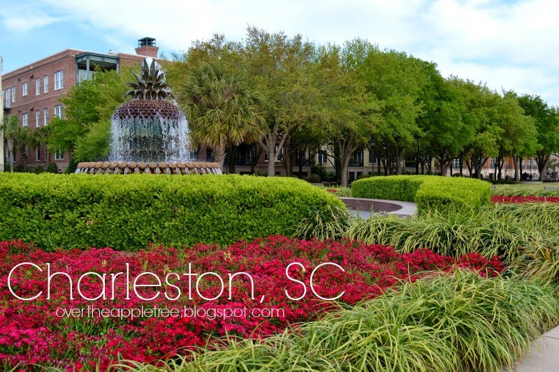 lowft over apple store charleston sc