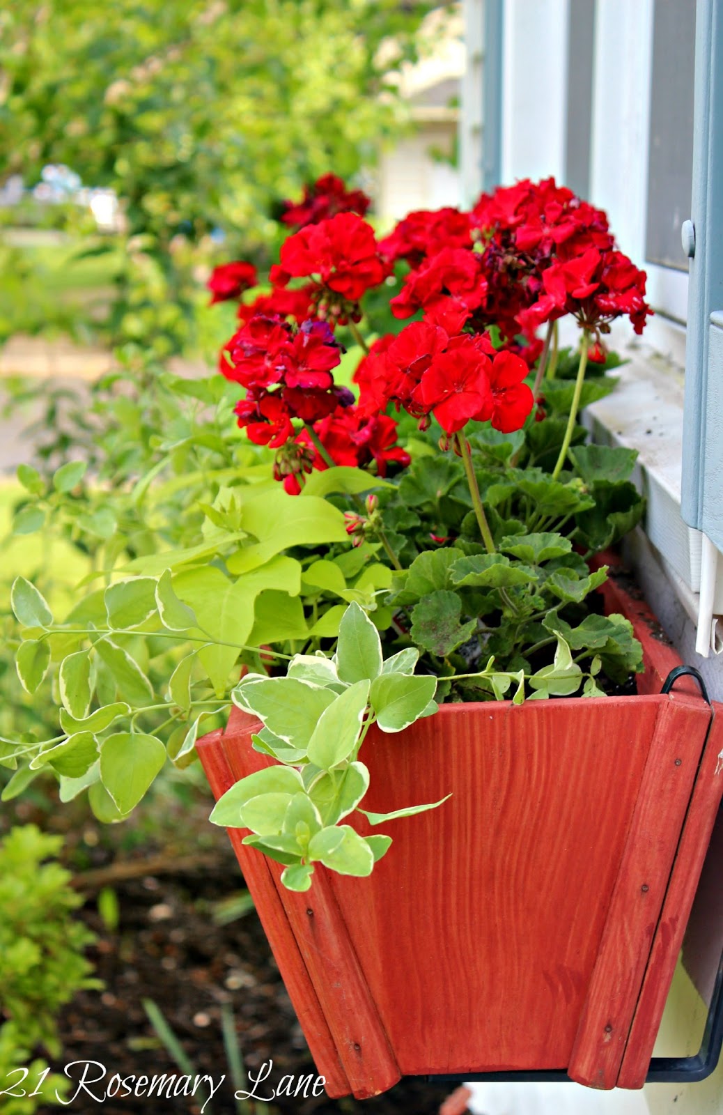 21 Rosemary Lane The Classic Look of Window Boxes Filled with Geraniums