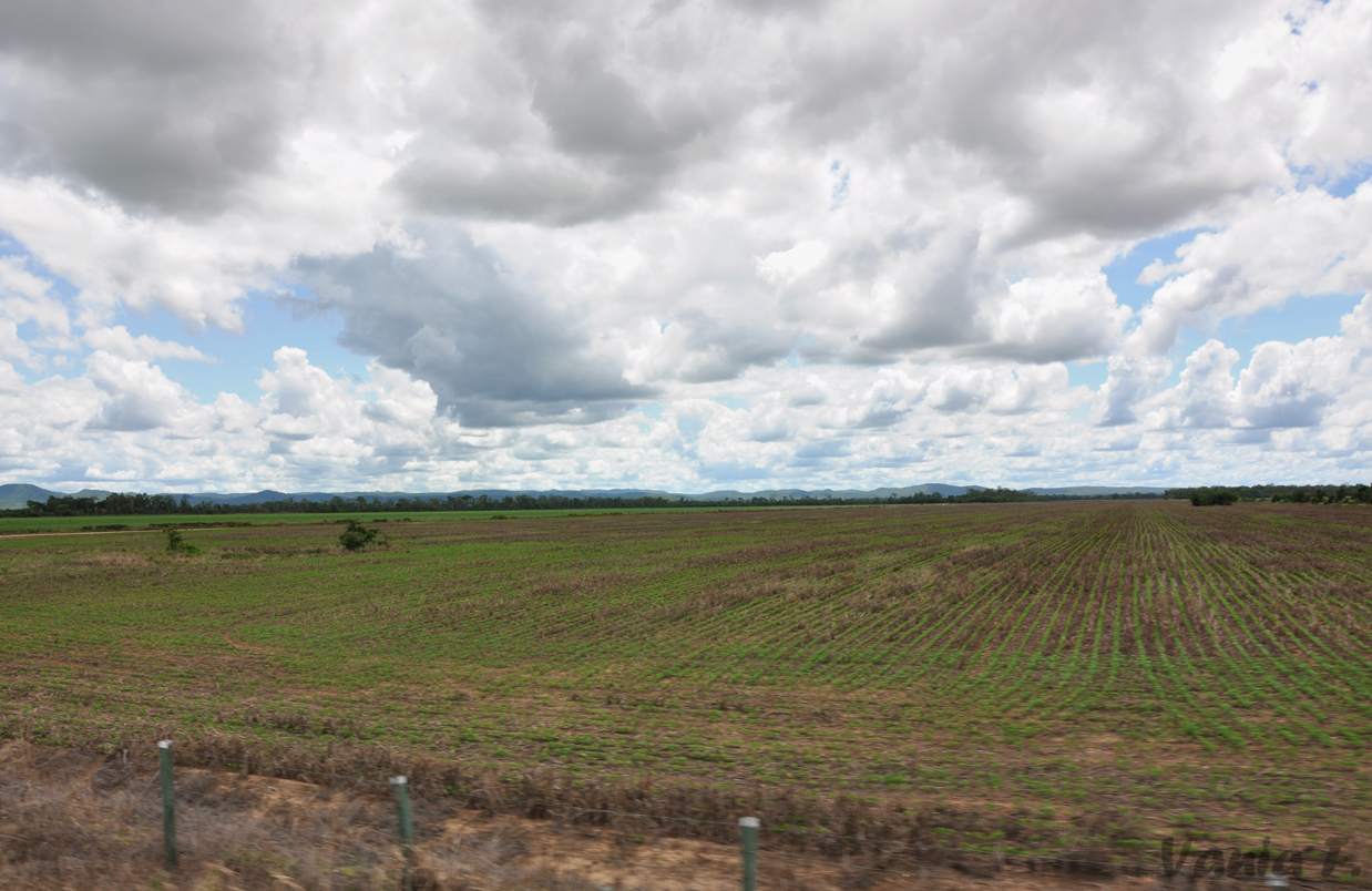 Bolivia ASCENSIÓN DE GUARAYOS