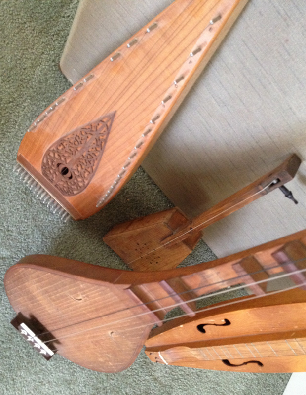 The Copycat Collector COLLECTION 107 Unusual Stringed Musical Instruments