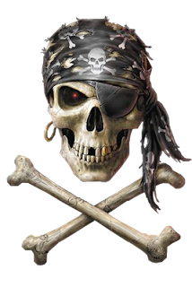 Skeleton-Skull: Pirate Skulls
