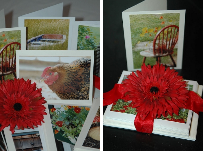 Kanelstrand Simple Snapshots How to Create Unique Postcards