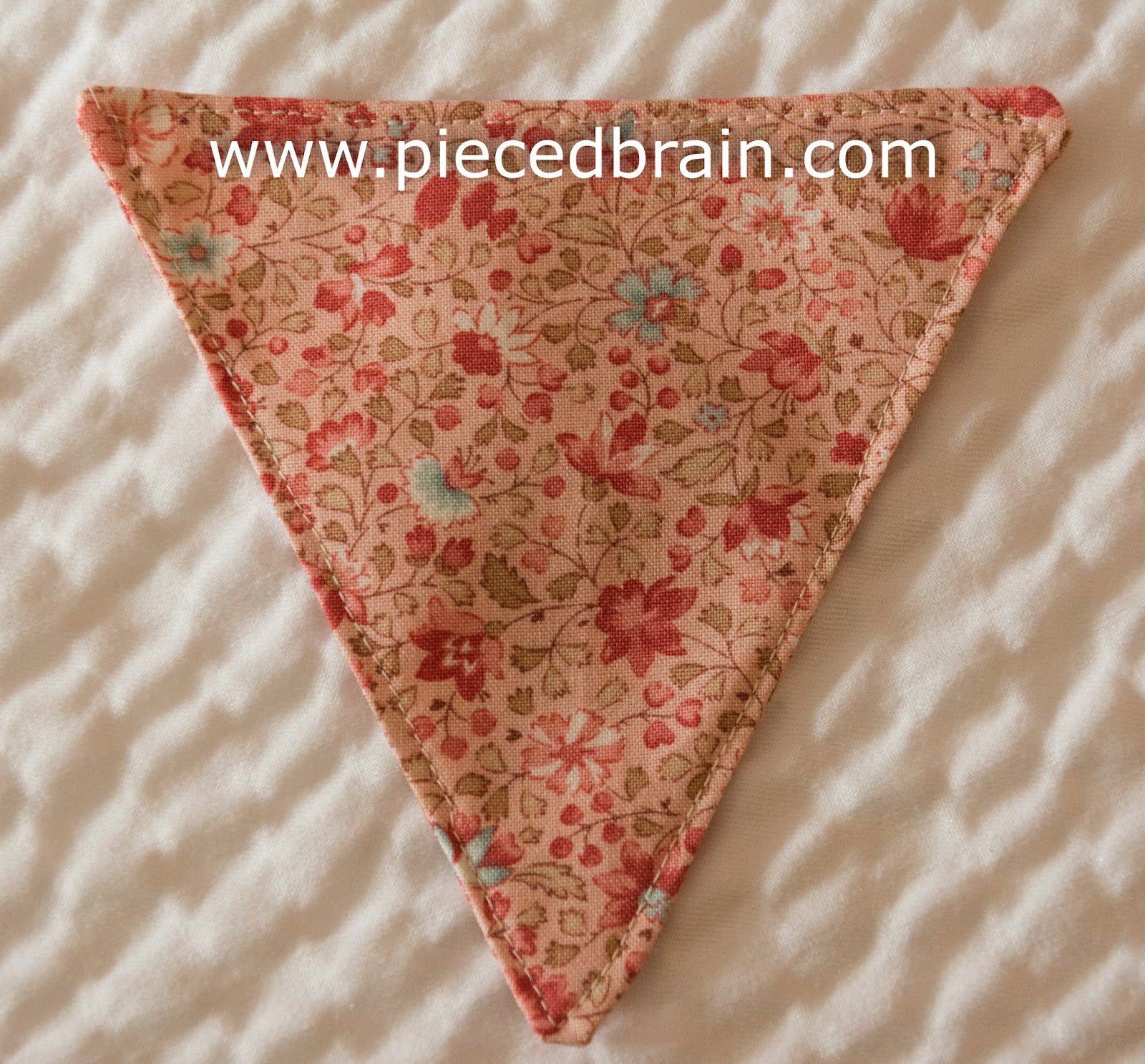 Pieced Brain Banner with applique' Tutorial
