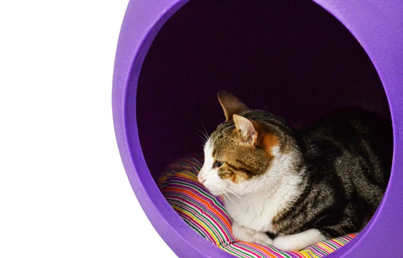 Bubble de Singular Pet