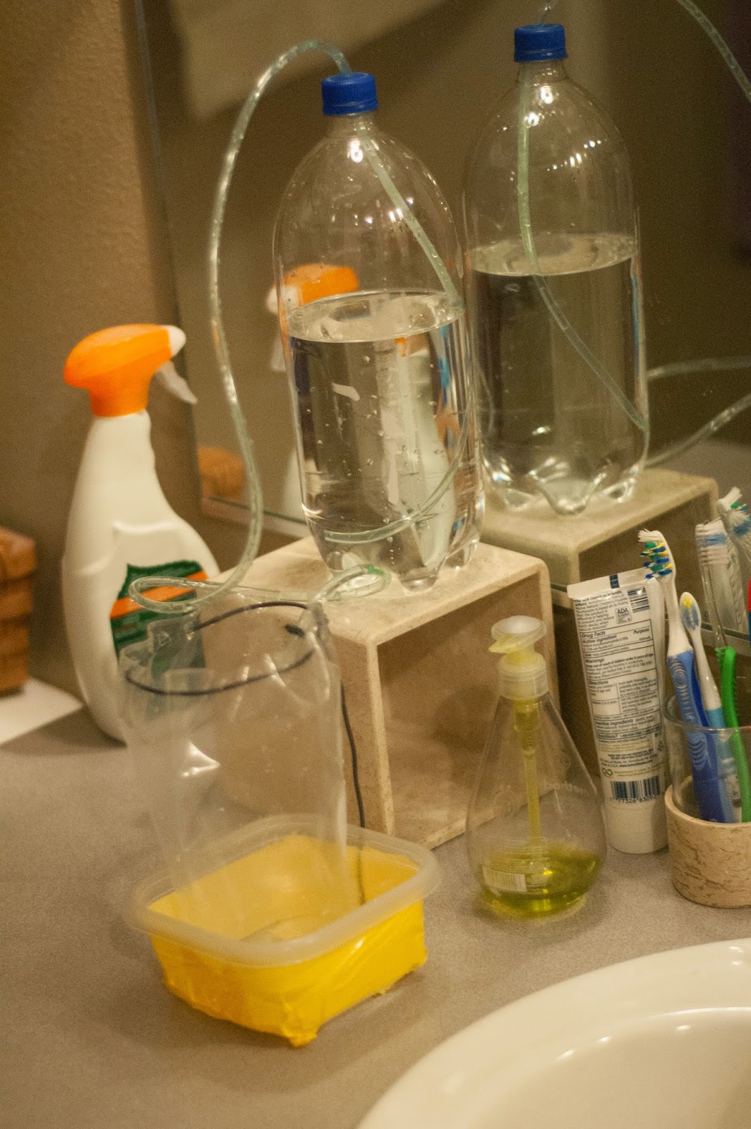Mom with a Dandelion in Her Hair A Guinea Pig Shower