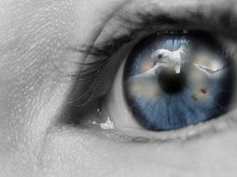 Yeshua = God: Song Of Solomon: My Dove With Dove's Eyes