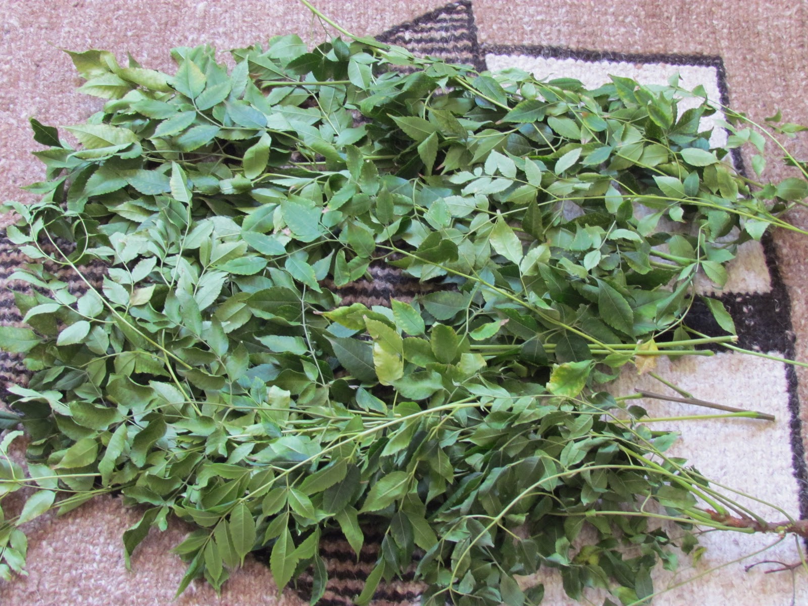 The Home Manager's Junction Preserving Grains Using Neem Leaves(Indian