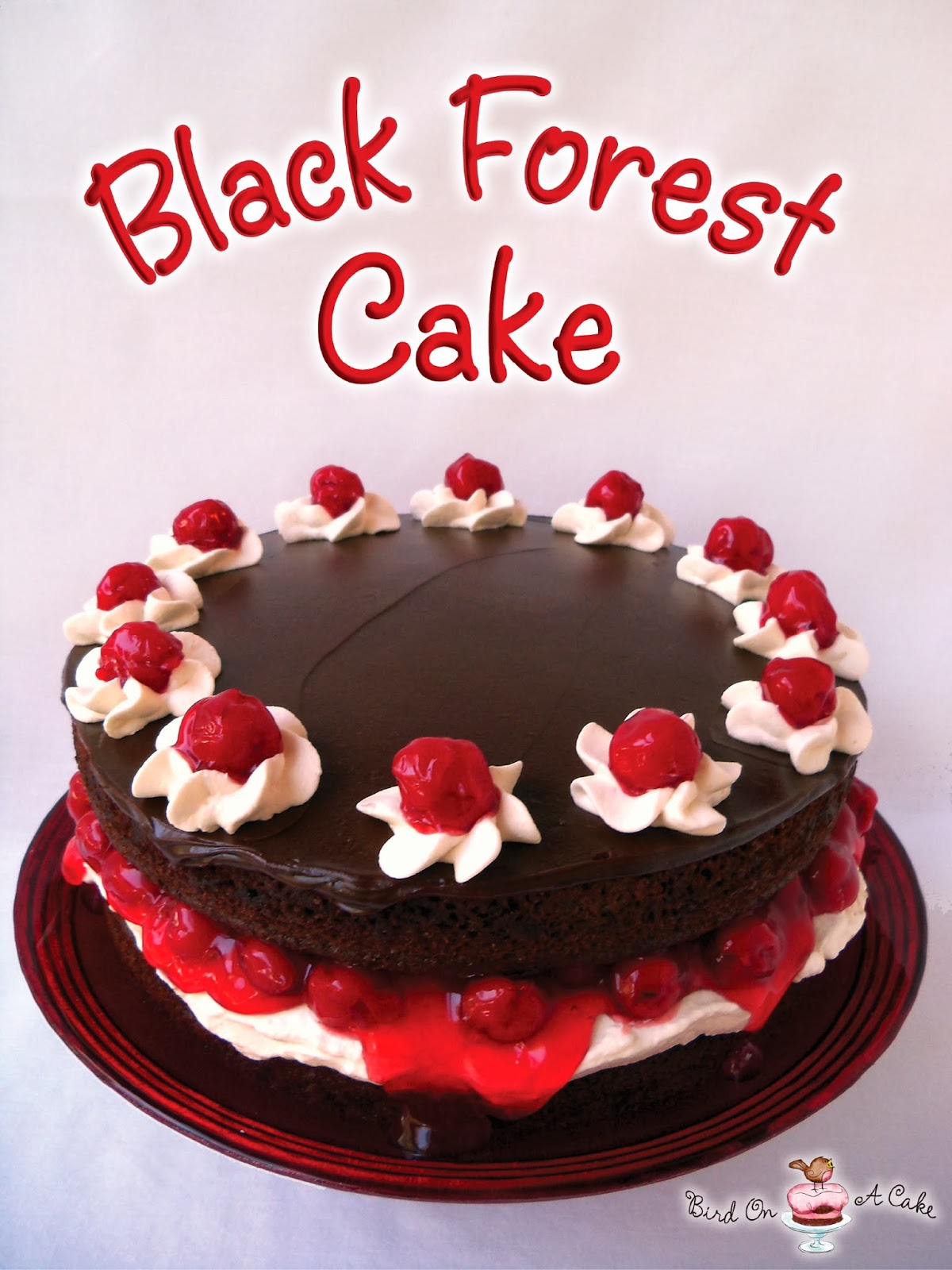 Bird On A Cake: Black Forest Cake with Chocolate Ganache