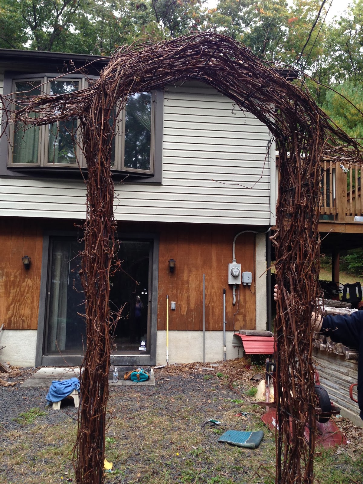 Brittany and Justin's DIY Wedding How to Make a Grape Vine Wedding