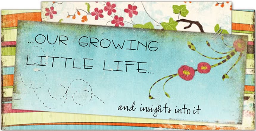 Our growing little life