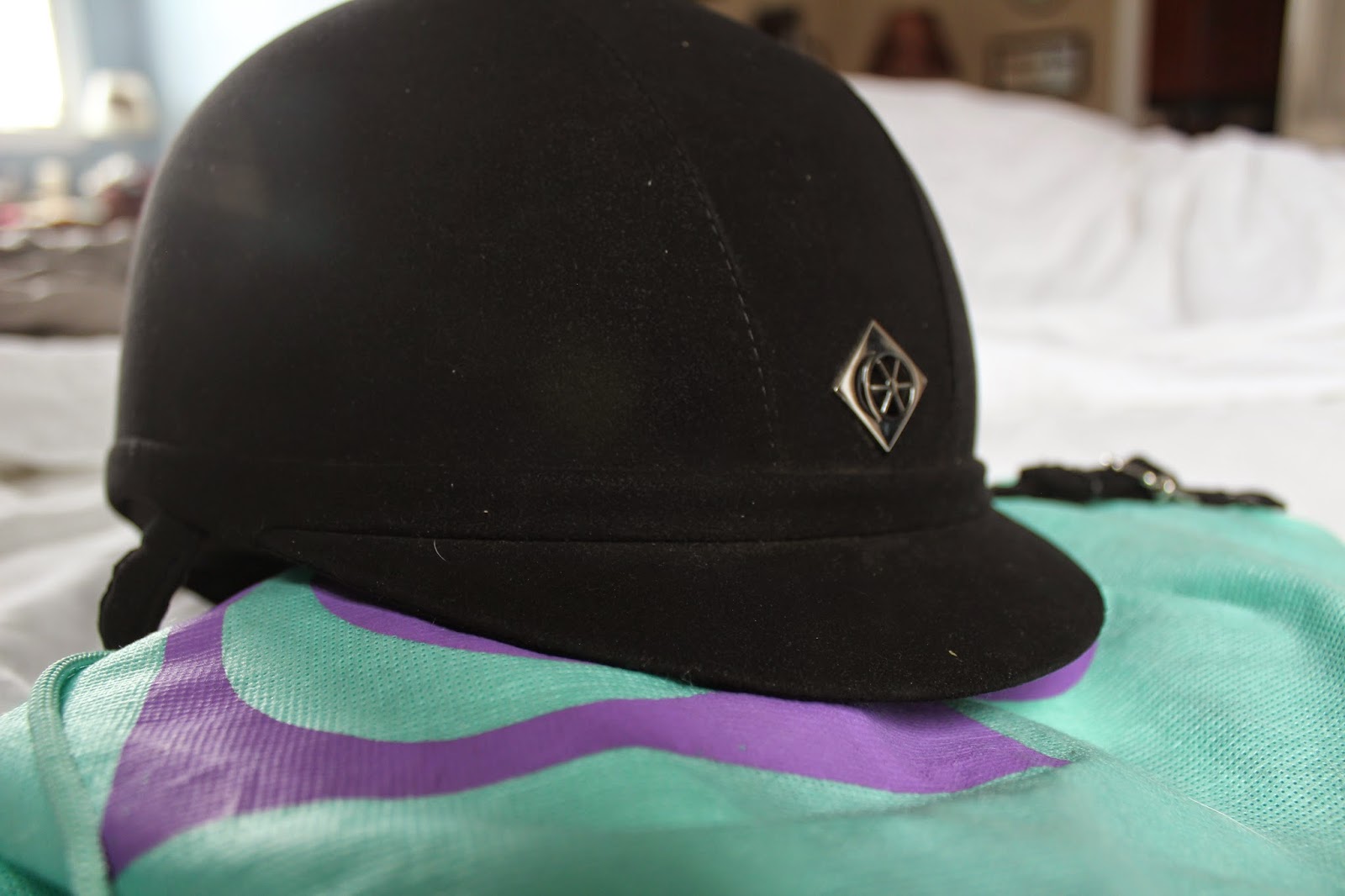 Ride It Horse Show Supplies What's in My Show Bag Part II