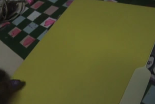 Decora tus cuadernos con Minions