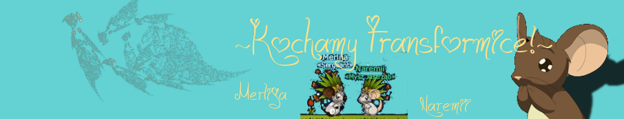 Kocham Transformice