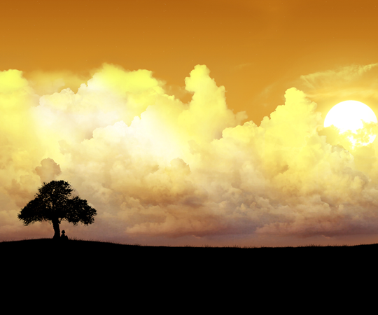 Alone Tree Alone Tree