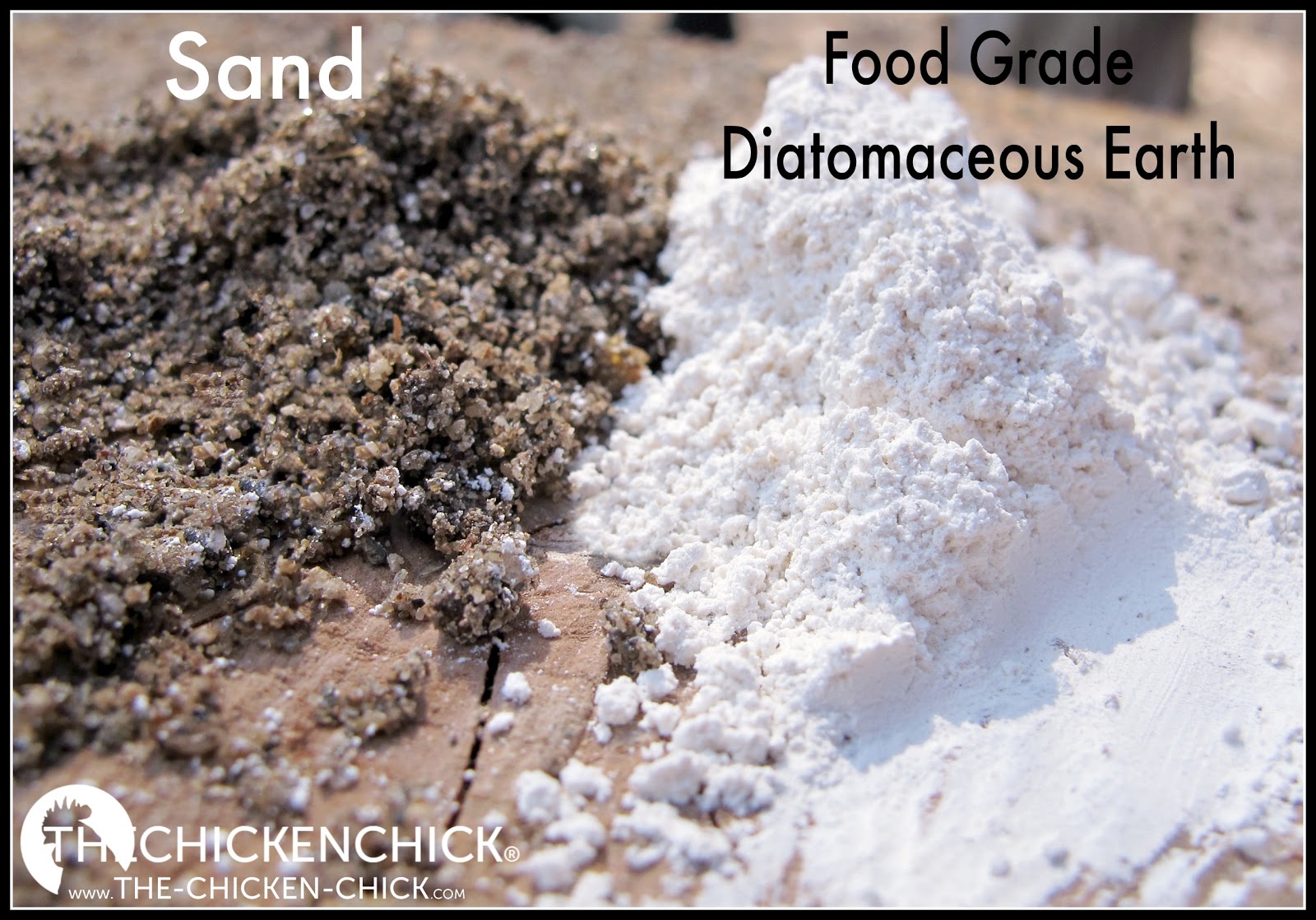 The Chicken Chick® Illustrated Glossary of Essential Chicken Terms