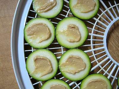 zucchini slices with spicy sauces