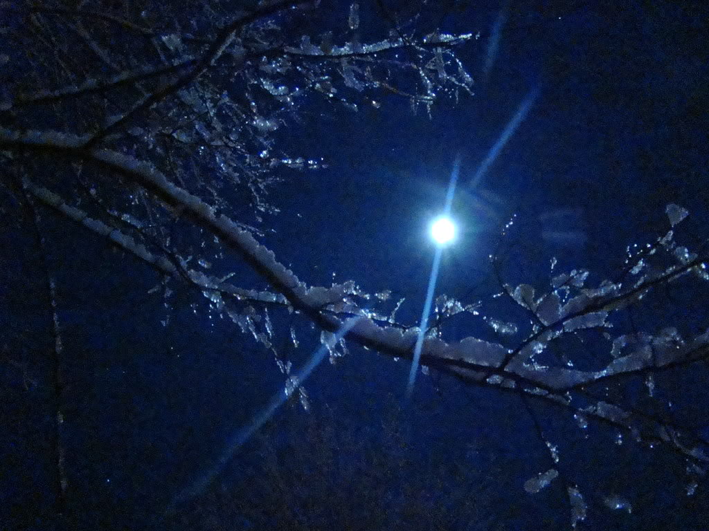 Samuel Taylor Bloggeridge Nocte Gelu Coleridge's 'Frost at Midnight