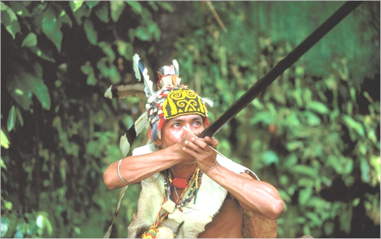 bamboo blowgun