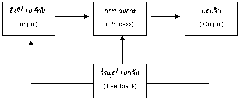 องค์ประกอบของระบบ