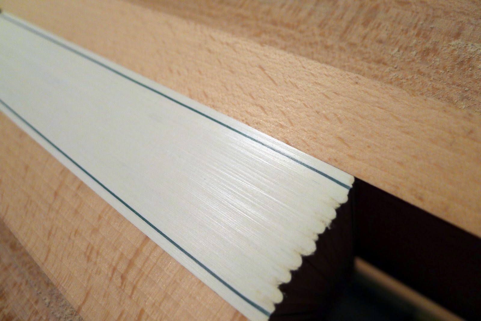 Papercut Bindery 2. Rough Edge Gilding