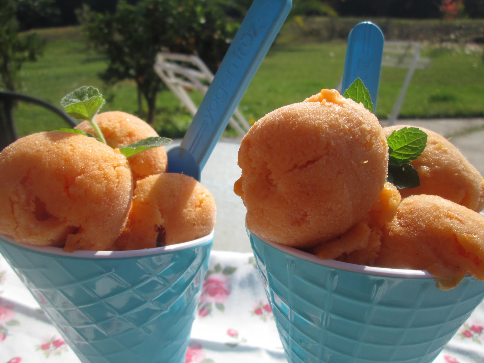 Canela kitchen (gloria) Apricot sorbet