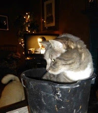 Chum Bucket! (click Gossamer for info)