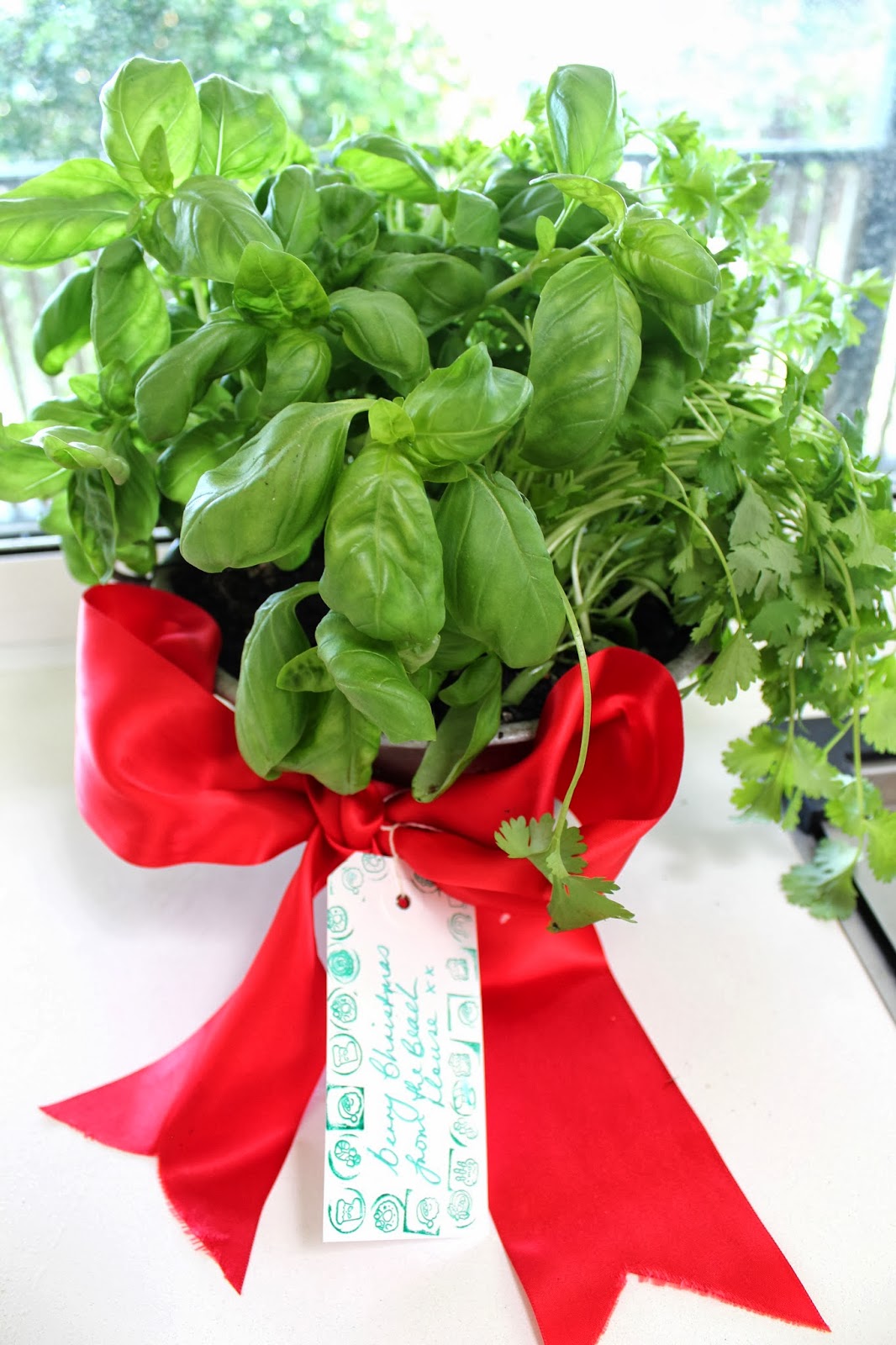 Herb Garden in a Colander for Christmas Desire Empire