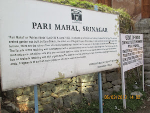Literature on "Pari Mahal".