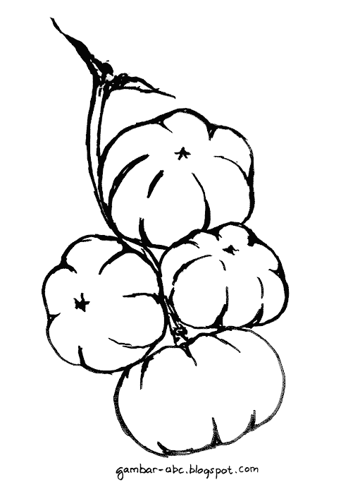 Buah Cermai