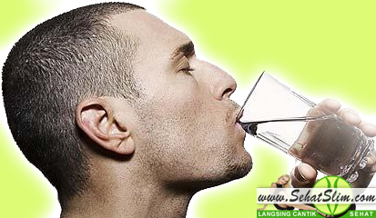 Minum Banyak Air Bisa Membuat Tubuh Langsing Sehat minum Air