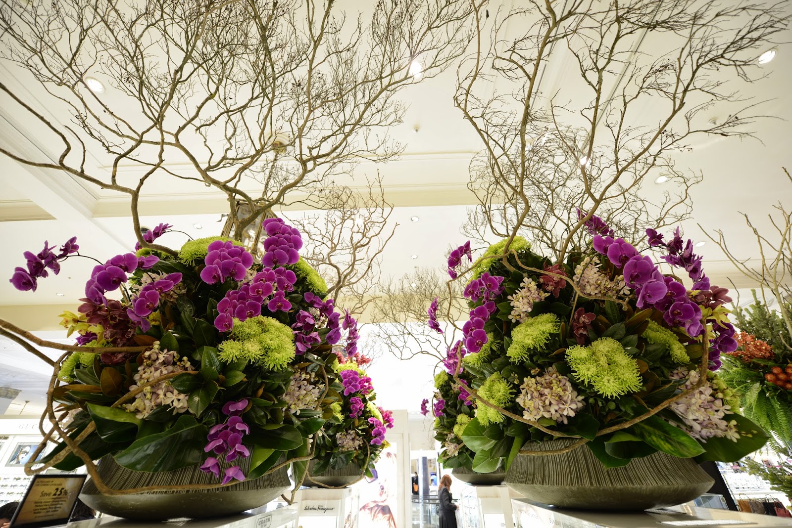 Urban Flower David Jones Flower Show 2014 in the Sydney CBD