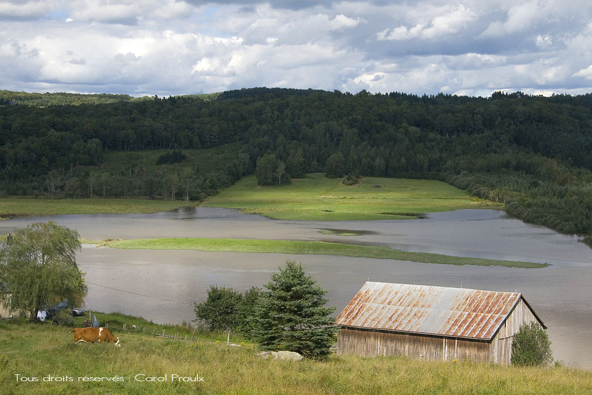 Cadre Nature StEphrem de Beauce