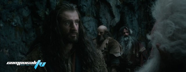 El Hobbit 2 la Desolación de Smaug 1080p HD Latino Dual