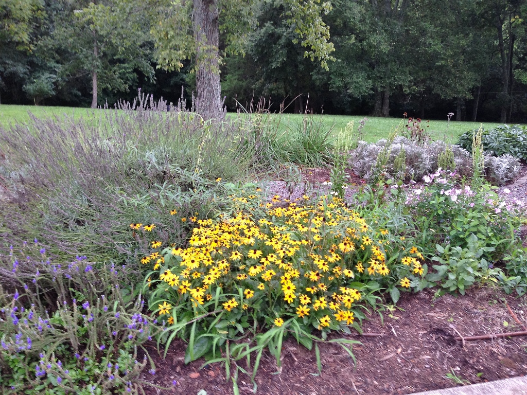 Rattlebridge Farm She�s Gone to Pot